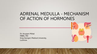 ADRENAL MEDULLA - MECHANISM
OF ACTION OF HORMONES
Dr. Anupam Mittal
MBBS, MD
King George’s Medical University,
Lucknow
 