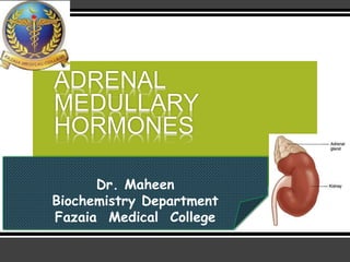 ADRENAL
MEDULLARY
HORMONES
Dr. Maheen
Biochemistry Department
Fazaia Medical College
 