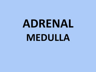 ADRENAL
MEDULLA
 
