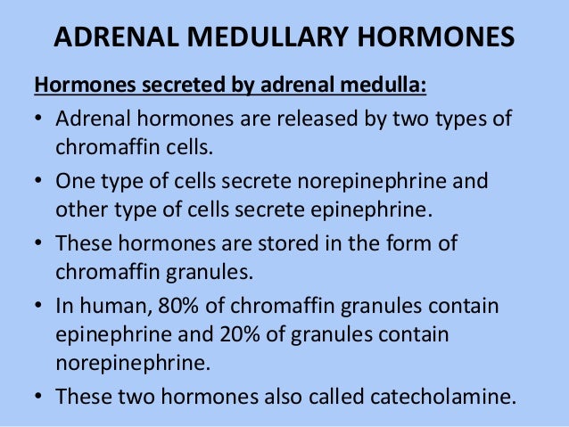 adrenal medulla hormones function adrenal medulla hormones function