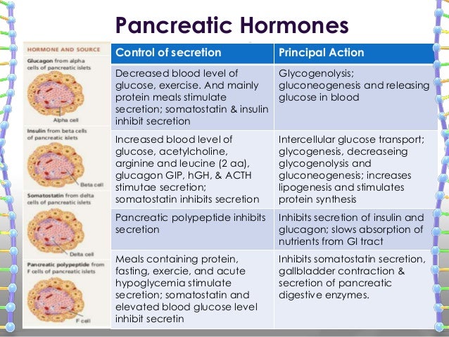 Adrenal, pacreas, reproductive glands