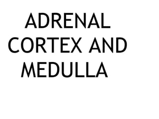 ADRENAL CORTEX AND MEDULLA  