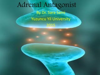 Adrenal Antagonist
By Dr. Sara Sami
Yuzuncu Yil University
2015
 