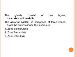 Adrenals chemistry and biosynthesis of adrenal medullary and adrenal ... Biology Diagrams