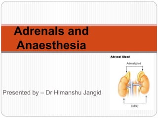 Presented by – Dr Himanshu Jangid
Adrenals and
Anaesthesia
 
