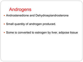 Androgens
 Androstenedione and Dehydroepiandrosterone
 Small quantity of androgen produced.
 Some is converted to estrogen by liver, adipose tissue
 