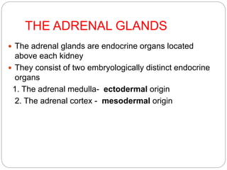 THE ADRENAL GLANDS
 The adrenal glands are endocrine organs located
above each kidney
 They consist of two embryologically distinct endocrine
organs
1. The adrenal medulla- ectodermal origin
2. The adrenal cortex - mesodermal origin
 