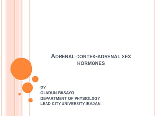 ADRENAL CORTEX-ADRENAL SEX
HORMONES
BY
OLADUN BUSAYO
DEPARTMENT OF PHYSIOLOGY
LEAD CITY UNIVERSITY,IBADAN
 