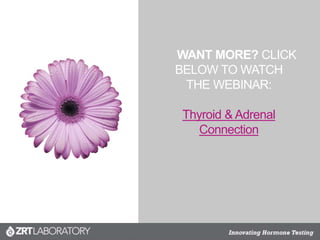 WANT MORE? CLICK
BELOW TO WATCH
THE WEBINAR:
Thyroid & Adrenal
Connection
 