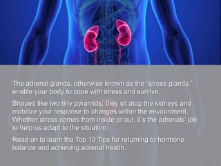 The adrenal glands, otherwise known as the “stress glands,”
enable your body to cope with stress and survive.
Shaped like ...