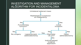 z
INVESTIGATION AND MANAGEMENT
ALGORITHM FOR INCIDENTALOMA
 