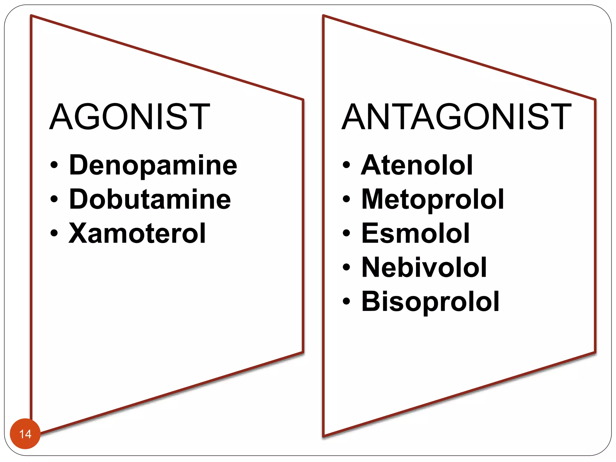 Adrenergic receptors | PPTX