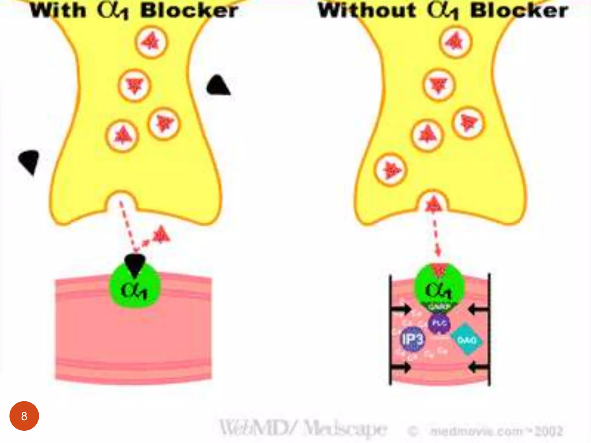 Adrenergic receptors | PPTX