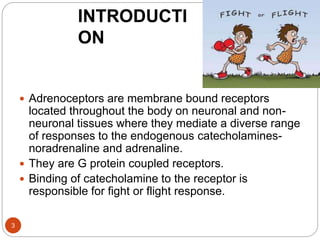 Adrenergic receptors | PPTX