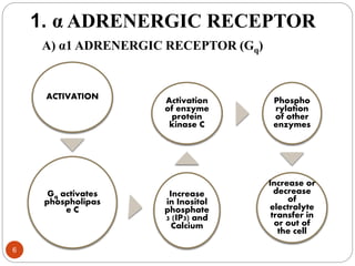 Adrenergic receptors | PPTX