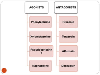 Adrenergic receptors | PPTX