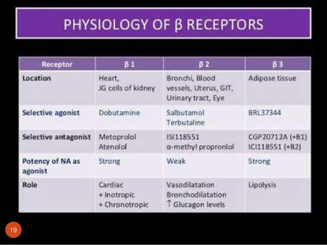 Alpha And Beta Adrenergic Receptors Chart