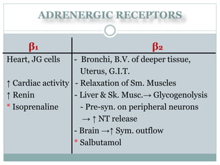 adrenergic.pptx