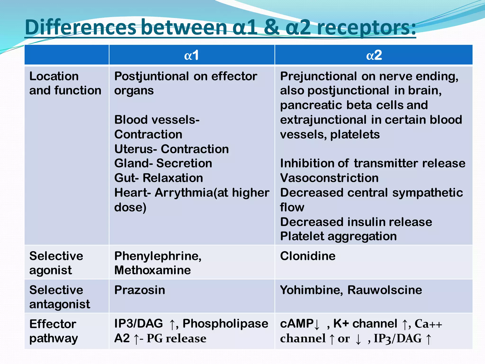 Adrenergic agents M. Pharm. | PDF