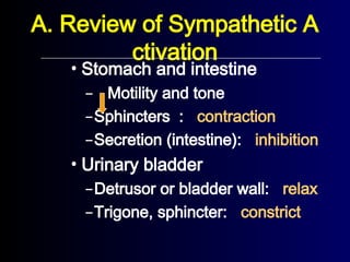 • Stomach and intestine
– Motility and tone
–Sphincters : contraction
–Secretion (intestine): inhibition
• Urinary bladder
–Detrusor or bladder wall: relax
–Trigone, sphincter: constrict
A. Review of Sympathetic A
ctivation
 