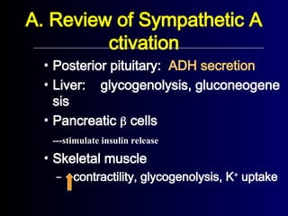 • Posterior pituitary: ADH secretion
• Liver: glycogenolysis, gluconeogene
sis
• Pancreatic  cells
---stimulate insulin release
• Skeletal muscle
– contractility, glycogenolysis, K+
uptake
A. Review of Sympathetic A
ctivation
 