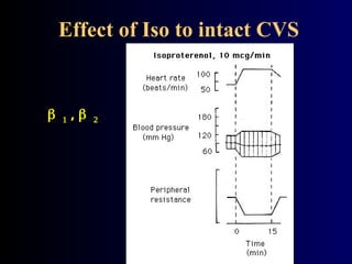 Effect of Iso to intact CVS
 , 
 