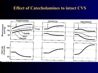 Effect of Catecholamines to intact CVS
 