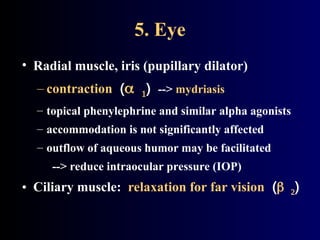 5. Eye
• Radial muscle, iris (pupillary dilator)
– contraction () --> mydriasis
– topical phenylephrine and similar alpha agonists
– accommodation is not significantly affected
– outflow of aqueous humor may be facilitated
--> reduce intraocular pressure (IOP)
• Ciliary muscle: relaxation for far vision ()
 