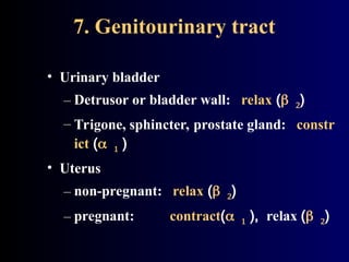 7. Genitourinary tract
• Urinary bladder
– Detrusor or bladder wall: relax ()
– Trigone, sphincter, prostate gland: constr
ict ()
• Uterus
– non-pregnant: relax ()
– pregnant: contract(), relax ()
 