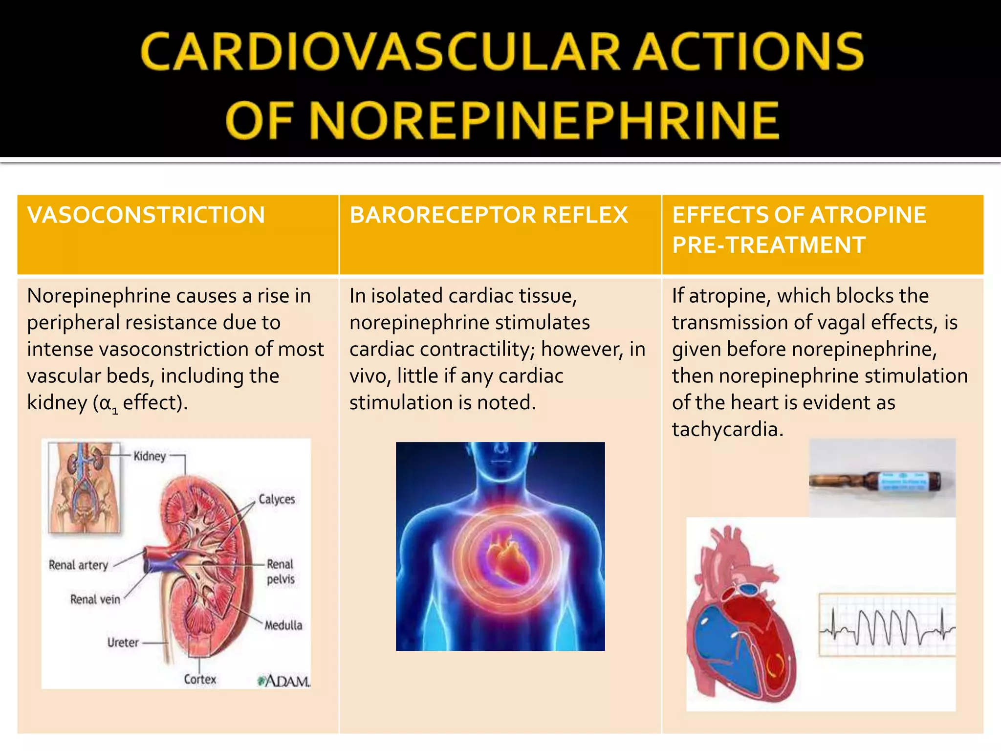 Adrenergic agonists | PPTX