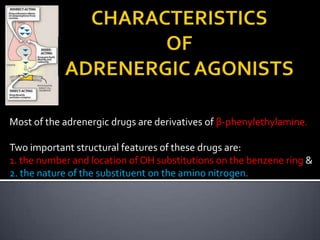 Most of the adrenergic drugs are derivatives of β-phenylethylamine.
Two important structural features of these drugs are:
1. the number and location of OH substitutions on the benzene ring &
2. the nature of the substituent on the amino nitrogen.

 