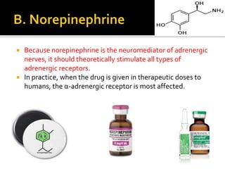 



Because norepinephrine is the neuromediator of adrenergic
nerves, it should theoretically stimulate all types of
adrenergic receptors.
In practice, when the drug is given in therapeutic doses to
humans, the α-adrenergic receptor is most affected.

 
