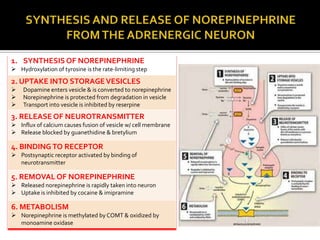 1. SYNTHESIS OF NOREPINEPHRINE
 Hydroxylation of tyrosine is the rate-limiting step

2. UPTAKE INTO STORAGE VESICLES




Dopamine enters vesicle & is converted to norepinephrine
Norepinephrine is protected from degradation in vesicle
Transport into vesicle is inhibited by reserpine

3. RELEASE OF NEUROTRANSMITTER
 Influx of calcium causes fusion of vesicle w/ cell membrane
 Release blocked by guanethidine & bretylium

4. BINDING TO RECEPTOR
 Postsynaptic receptor activated by binding of
neurotransmitter

5. REMOVAL OF NOREPINEPHRINE
 Released norepinephrine is rapidly taken into neuron
 Uptake is inhibited by cocaine & imipramine

6. METABOLISM
 Norepinephrine is methylated by COMT & oxidized by
monoamine oxidase

 