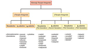 Adrenergic Agonists and antagonists.pdf