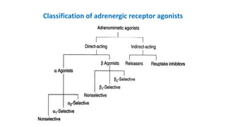 Classification of adrenergic receptor agonists
 