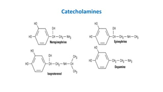 Catecholamines
 