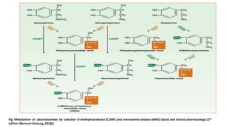 Fig: Metabolism of catecholamines by catechol- O-methyltransferase (COMT) and monoamine oxidase (MAO) (basic and clinical pharmacology 12th
edition (Bertram Katzung, 2012))
 
