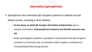 Adrenaline (epinephrine)
 Epinephrine also stimulates β2 receptors present in skeletal muscle
blood vessels, resulting in their dilation
• At low doses, at which β2 receptor stimulation predominates over α
receptor stimulation, total peripheral resistance and diastolic pressure may
fall
• Under physiological conditions, epinephrine released from the adrenal gland
functions as a hormone and, via activation of β2 receptors, contributes to
increased blood flow during exercise.
 