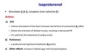 Isoproterenol
 Stimulates β1& β2 receptors (non-selective β).
Actions:
a) CVS
– intense stimulation of the heart (increase rate & force of contraction) β1 effect.
– Dilates the arterioles of skeletal muscle, resulting in decreased PR
– It’s useful for the treatment of cardiac arrest
b) Pulmonary
– a profound and rapid bronchodilation (β2action)
c) Other effects: increase in blood sugar and increased lipolysis
 