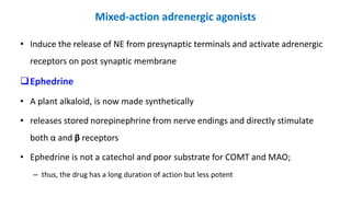 Mixed-action adrenergic agonists
• Induce the release of NE from presynaptic terminals and activate adrenergic
receptors on post synaptic membrane
Ephedrine
• A plant alkaloid, is now made synthetically
• releases stored norepinephrine from nerve endings and directly stimulate
both α and β receptors
• Ephedrine is not a catechol and poor substrate for COMT and MAO;
– thus, the drug has a long duration of action but less potent
 