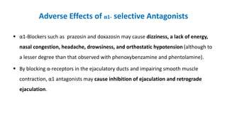 Adverse Effects of α1- selective Antagonists
 α1-Blockers such as prazosin and doxazosin may cause dizziness, a lack of energy,
nasal congestion, headache, drowsiness, and orthostatic hypotension (although to
a lesser degree than that observed with phenoxybenzamine and phentolamine).
 By blocking α-receptors in the ejaculatory ducts and impairing smooth muscle
contraction, α1 antagonists may cause inhibition of ejaculation and retrograde
ejaculation.
 