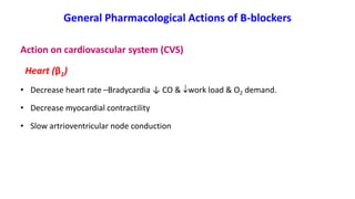 General Pharmacological Actions of B-blockers
Action on cardiovascular system (CVS)
Heart (β1)
• Decrease heart rate –Bradycardia ↓ CO & work load & O2 demand.
• Decrease myocardial contractility
• Slow artrioventricular node conduction
 