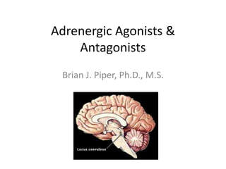 Adrenergic Agonists &
    Antagonists
 Brian J. Piper, Ph.D., M.S.
 