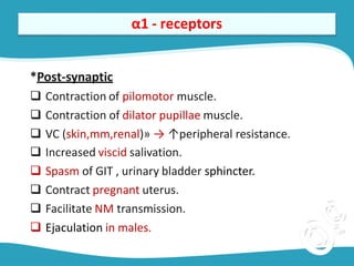 Pilometer Adrenergic Agonists (sympathomimetics).pdf Adrenergic agonists, or ...