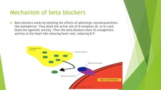 Mechanism of beta blockers
 Beta blockers works by blocking the effects of adrenergic neurotransmitters
like epinephrine .They block the active site of β receptors (β₁ or β₂) and
block the agonistic activity .Then the beta blockers show its antagonistic
activity to the heart like reducing heart rate, reducing B.P.
 