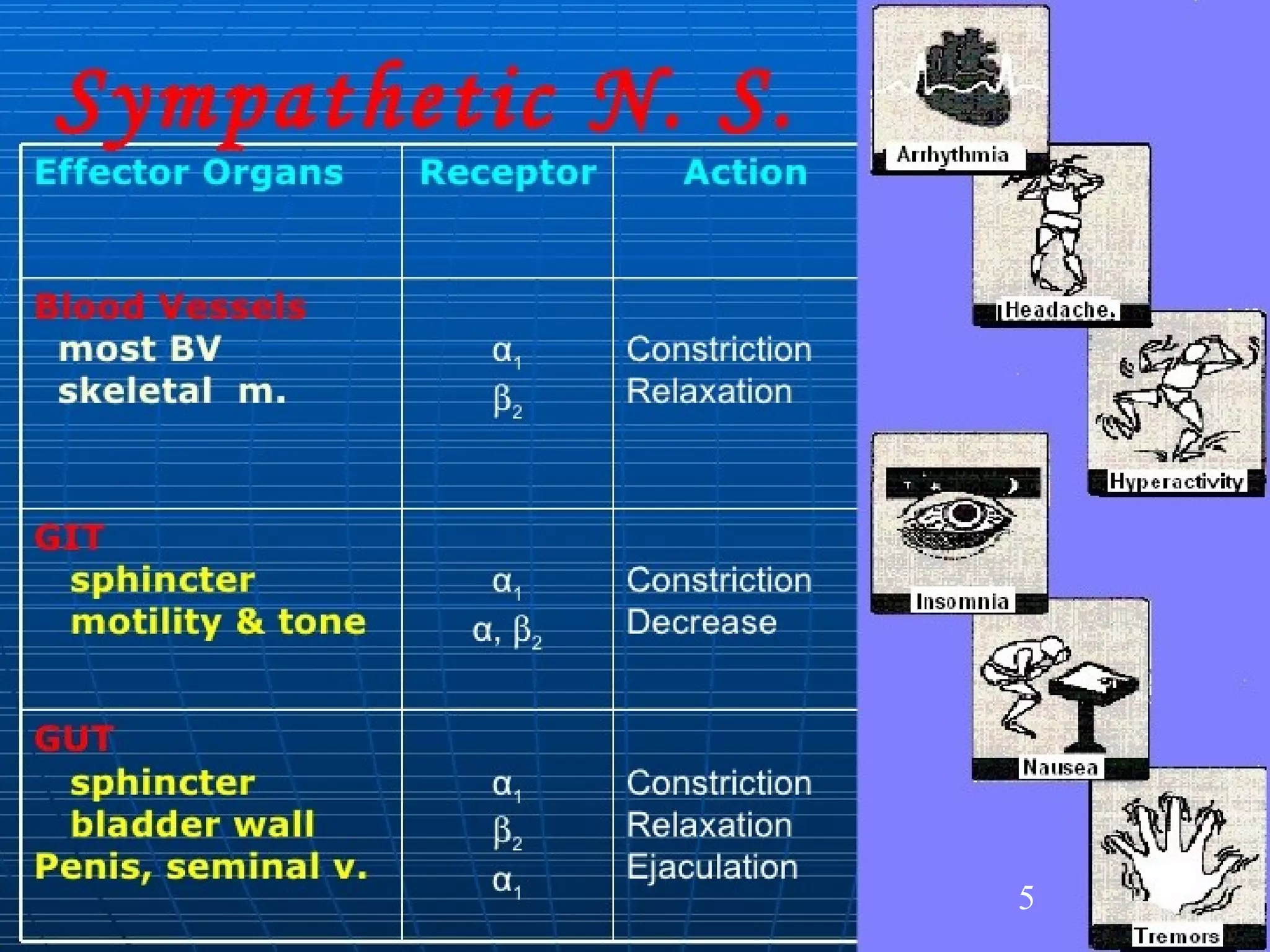 Adrenergic antagonists alpha and beta blockers | PPT