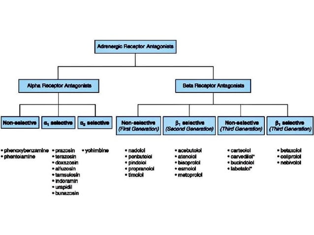 Adrenergic antagonists alpha and beta blockers | PPT
