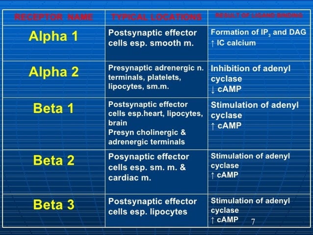 Adrenergic antagonists alpha and beta blockers | PPT
