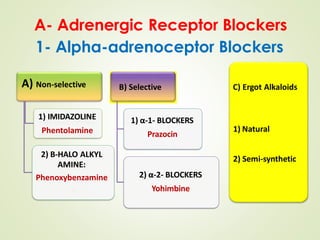 Adrenergic Antagonists (sympathetic depressants).pdf Adrenergic ...