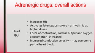 Adrenergic drugs: overall actions
Heart
(β1)
• Increases HR
• Activates latent pacemakers – arrhythmia at
higher doses
• Force of contraction, cardiac output and oxygen
consumption- increased
• Increased conduction velocity – may overcome
partial heart block
 